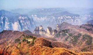 五一能不能出去玩